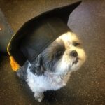 canine-rehab-graduate-1-min